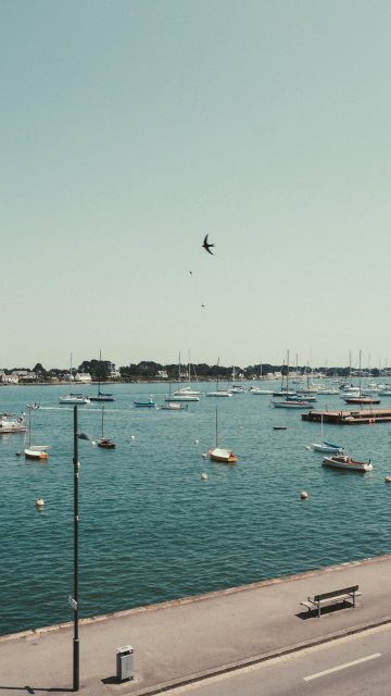 📸 | Un appartement de vacances que j’ai récemment photographié 

Un matin ensoleillé, une jolie lumière qui entrait dans l’appartement par des fenêtres à petits carreaux et des détails vintage : tout ce que j’aime 🫶🏼

Vous aussi vous êtes sensibles à ces détails là ?

📍Location de tourisme gérée par Square Habitat Carnac 
 
#vacancesbretonnes 
#photographevannes 
#photographebretagne 
#tourismebretagne 
#bretagnetourisme 
#latrinitesurmer
#vuemer